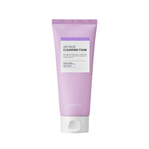 Anti Dust Cleansing Foam